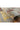 Brushstroke Multi